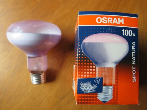 Osram concentra r80 spot - osram,