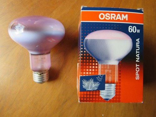 Osram concentra r80 spot - osram,