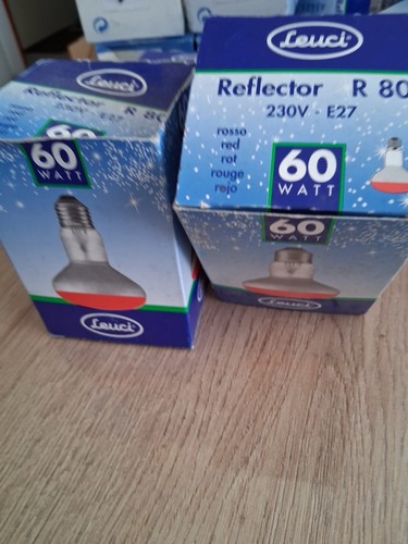 Leuci spot r80 60w - , rot