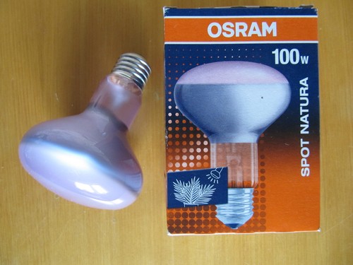 Osram concentra spot natura - concentra,
